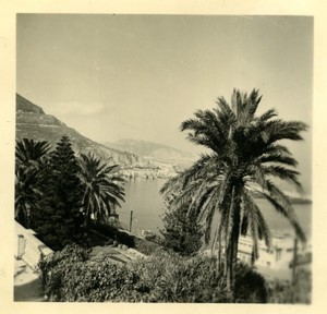 France/Algeria Oran Letang Garden Old Photo snapshot 1957 #1
