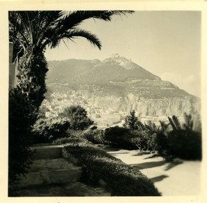 France/Algeria Oran Letang Garden Old Photo snapshot 1957 #2