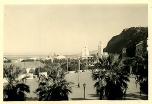 France/Algerie Philipeville Skikda bord de mer palmiers ancienne Photo Snapshot 1957 #1