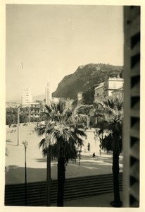 France/Algeria Philipeville Skikda seaside palm trees Old Photo snapshot 1957 #2