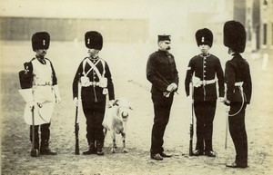 United Kingdom military Welsh Fusiliers Goat Old FGOS Photo 1890