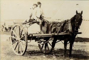 United Kingdom military Horse Water Cart Grenadier Guards Old FGOS Photo 1890