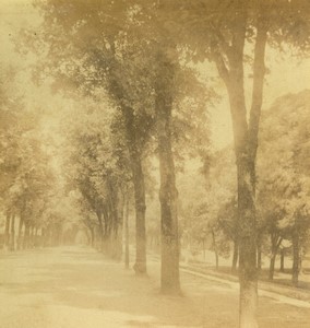 France Nancy Park of Pepiniere Old Half-Stereo Photo Valecke 1865