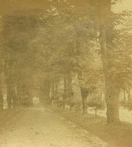 France Plombieres Promenade des Dames Old Half-Stereo Photo Valecke 1865