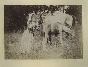 France Eure Bosgouet jardin du Chateau Dame et Chevaux Ancienne Photo Dallemagne 1890