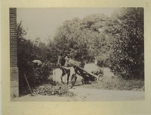 France Normandy Bosgouet Horse pulling cart Barrel Old Photo Dallemagne 1890 #1