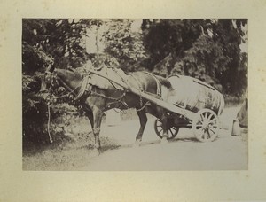 France Normandy Bosgouet Horse pulling cart Barrel Old Photo Dallemagne 1890 #2
