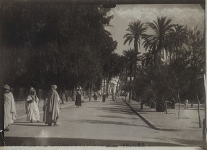 Algeria Laghouat Sonis Street Palm Trees Old Military studio Photo 1925