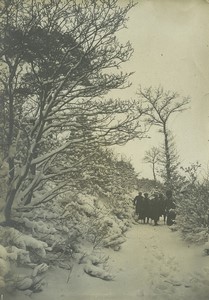 France Vosges promenade en hiver Groupe sur un Chemin Neige Arbres Ancienne Photo 1920