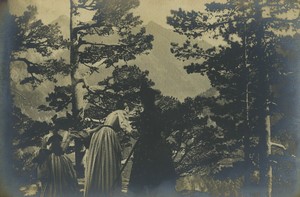 France Vosges promenade en été 3 Dames en Foret Ancienne Photo 1920
