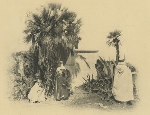 Algeria a well near Algiers? Palm Trees Old Photogravure Geiser 1890