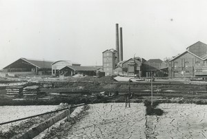 France Thumeries Sugar Factory Beghin Old Photo c1960 later print #3