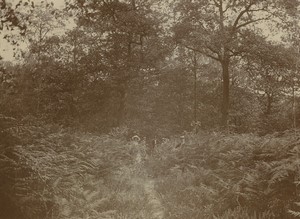 France Group on a nature walk in the woods forest Old Snapshot Photo 1912 #1