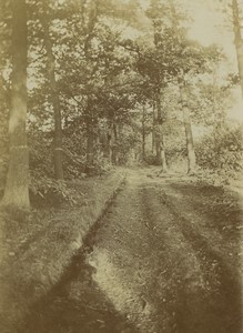 France Promenade au Bois Chemin Forestier Ancienne Photo amateur 1912