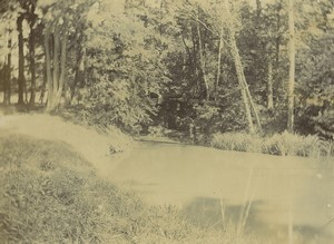 France Promenade au Bois Foret Etang Ancienne Photo amateur 1912