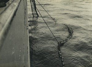 France Research vessel President Theodore Tissier Fishing Photo Bertier 1960 #6