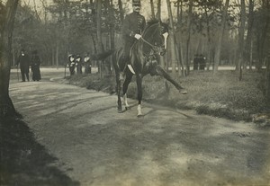 France Horse le Bonheur Paris & London Equestrian Old Photo 1922