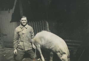 France Farm Pig & Farmer Old snapshot Photo 1950 #1