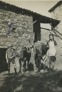 France Farm Farmer Children & Oxen Old snapshot Photo 1934