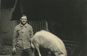 France Farm Pig & Farmer Old snapshot Photo 1950 #2