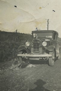 France Cherbourg old banger Automobile & Dog Old snapshot Photo 1932
