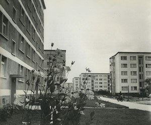 Germany Schwedt reconstruction new housing estate Old Press Photo 1965