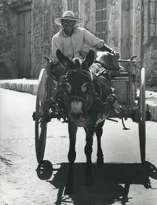Balearic Islands Majorca Palma Farmer & Donkey cart Old Studio Photo 1970