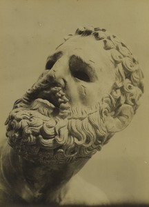 Italy Boxer at Rest head close up sculpture Old Studio Photo 1880