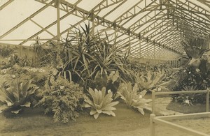 France Valenciennes Botanical Exhibition? Old Studio Photo Rouault 1930 #3