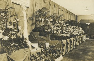France Valenciennes Botanical Exhibition? Old Studio Photo Rouault 1930 #4