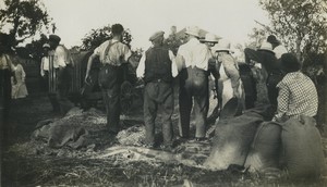 France Campagne Paysans Scene de Moisson Ancienne Photo Snapshot 1935 #1