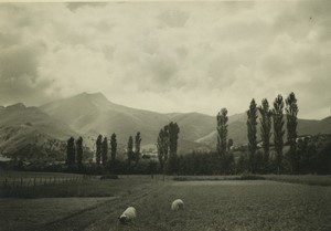 France Pays Basque Sare Campagne La Rhune Larrun? Ancienne Photo Snapshot Annees 1950 #2