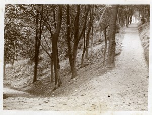 North Yorkshire near Scarborough Forest Holidays old Amateur Photo 1900