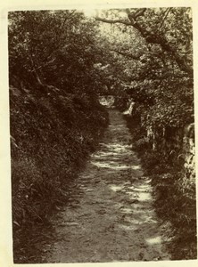 North Yorkshire Scarborough Forest Path Holidays old Amateur Photo 1900