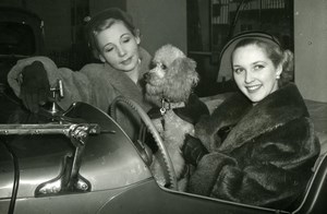 Katie Boyle at Motor Show Fashion Poodle Dog Nuffield Place Old Press Photo 1951