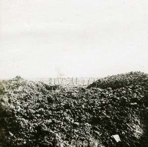 France WWI Scene of Desolation No Man's Land old SIP Photo 1914-1918