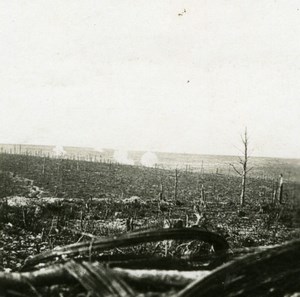 France WWI Verdun Battle Bois des Caurières Bombing old SIP Photo 1917