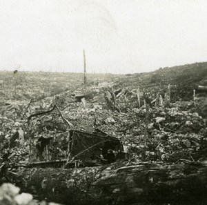 France WWI Verdun Battle Vision of Hell old SIP Photo 1914-1918