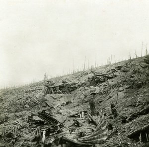 France WWI Marne Mont Haut After Shelling old SIP Photo 1914-1918