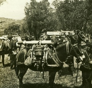 France WWI Moroccan Spahis Cavalry Colonial Troops old SIP Photo 1914-1918