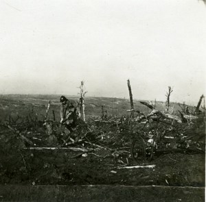 France WWI Downed German Aircraft Military Aviation old SIP Photo 1914-1918