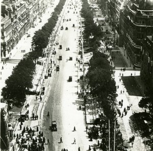 France WWI Avenue des Champs Elysees Victory Fete old SIP Photo 1919