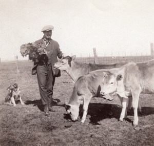 USA? Farmer & his Dog Feeding Calves Farming Old Snapshot Photo 1920