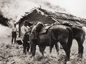 Russia German Soldiers Cavalry Horse Burning Farm WWII WW2 Old Photo 1941