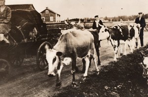 Finland Russian Bombing Farmers leaving their village WWII WW2 Old Photo 1941