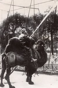 London Zoo Fireman Practice on Camel Back Pompier Old Photo 1940