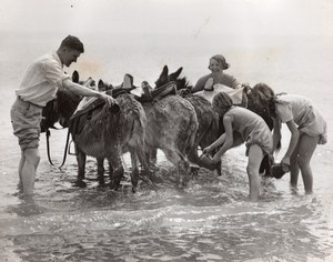 Ramsgate Holiday Makers helping Donkey Driver First Bath of Season Photo 1930's