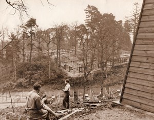 Norfolk Regis Silver Fox Farm General View Breeding Old Photo 1931