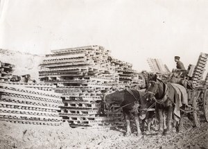 France WWI Western Front Duckboards & Horses Infantry Old Photo 1914-1918