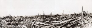 France WWI British Western Front German Retreat Ruined Road Old Photo 1914-1918